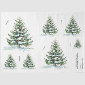 Vintage Watercolor Christmas Tree Tissue Paper