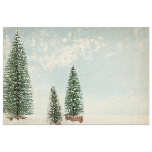 Vintage Watercolor Pine Tree Christmas  Tissue Paper