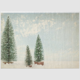 Vintage Watercolor Pine Tree Christmas Tissue Paper
