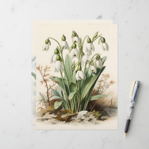 Vintage Watercolor Snowdrops Scrapbook Paper