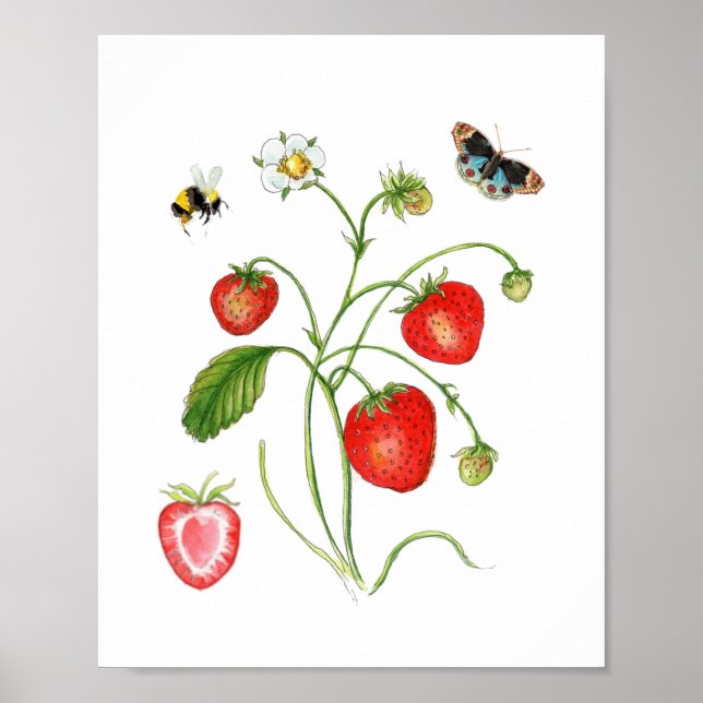 Vintage Watercolor Strawberry botanical Poster (Front)