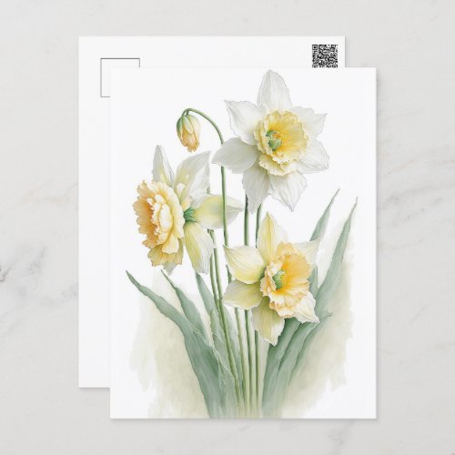 Vintage Watercolor White and Yellow Daffodils  Postcard