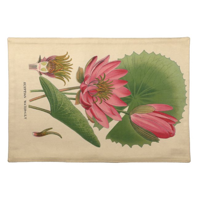 Vintage Waterlily Cloth Placemat (Front)