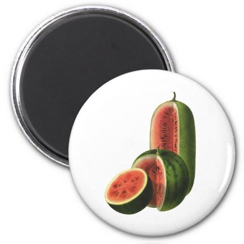 Vintage Watermelons Tall Round Organic Food Fruit Magnet