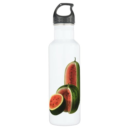 Vintage Watermelons Tall Round Organic Food Fruit Water Bottle