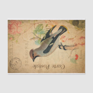 Vintage Waxwing Bird Floral French  Carte Postale Tissue Paper