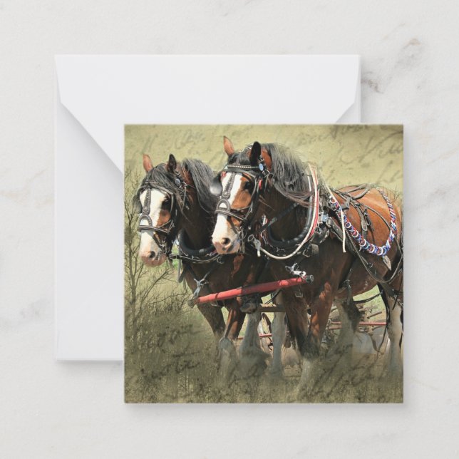 Vintage Weathered Clydesdale Postcard (Front)