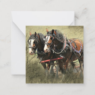 Vintage Weathered Clydesdale Postcard