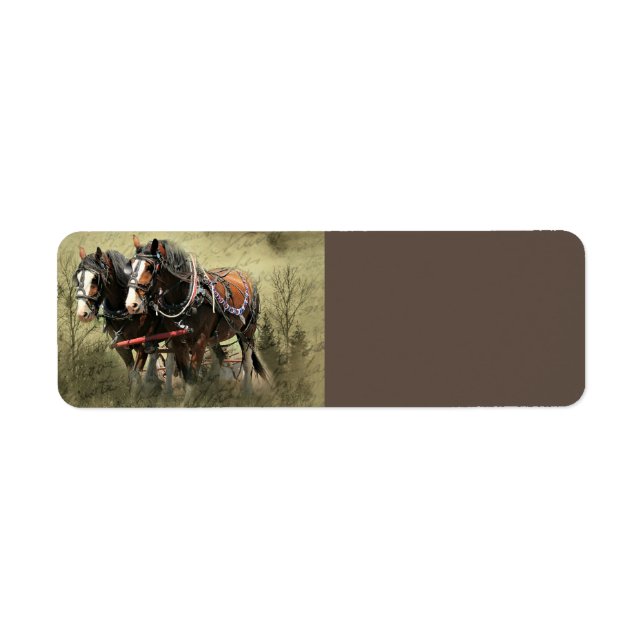 Vintage Weathered Clydesdale Postcard Label (Front)