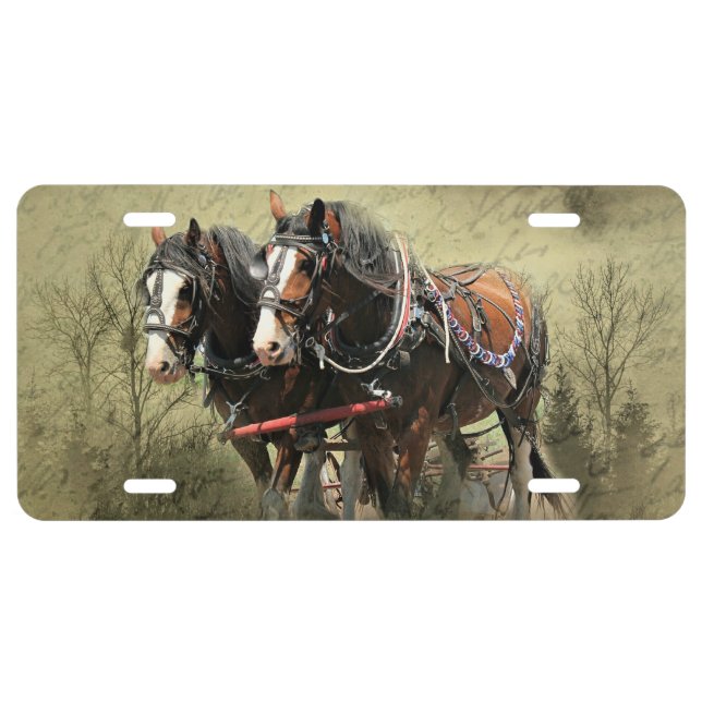 Vintage Weathered Clydesdale Postcard License Plate (Front)