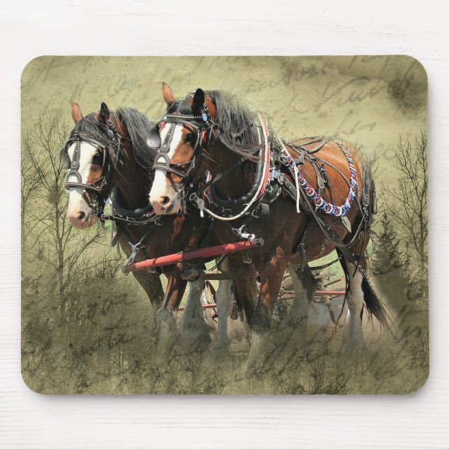 Vintage Weathered Clydesdale Postcard Mouse Pad (Front)