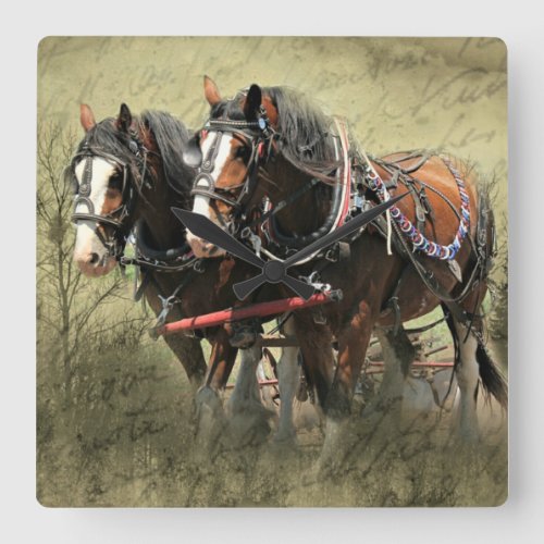 Vintage Weathered Clydesdale Postcard Square Wall Clock