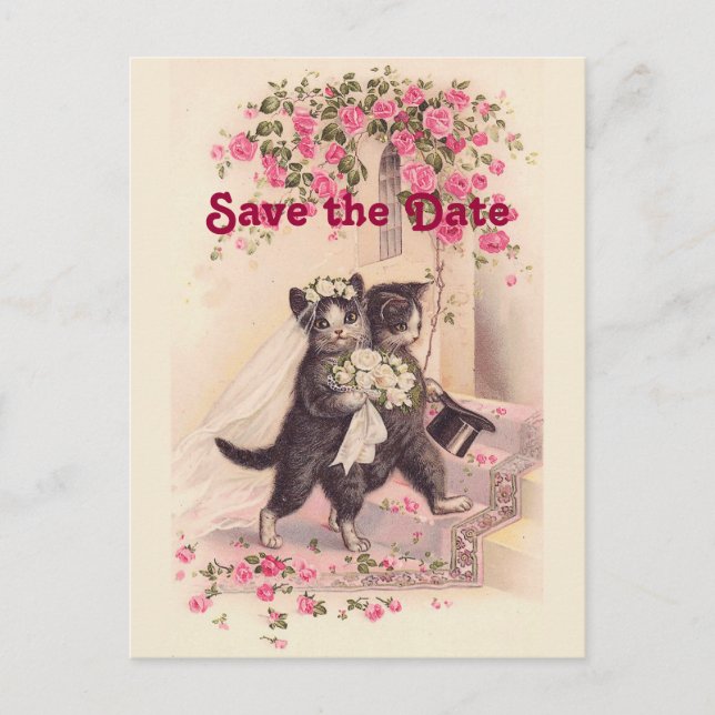 Vintage Wedding Cats Save the Date Postcard (Front)