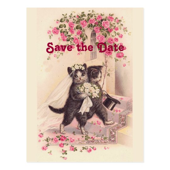 Vintage Wedding Cats Save the Date Postcard