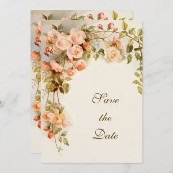 Vintage Wedding  Pink Rose Flowers  Save The Date by InvitationCafe at Zazzle