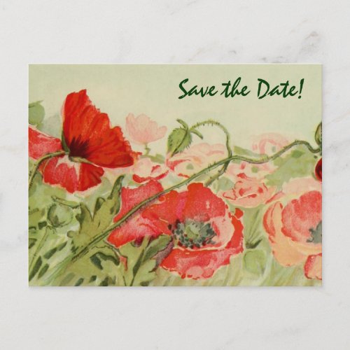 Vintage Wedding Red Poppies Flowers Save the Date Announcement Postcard
