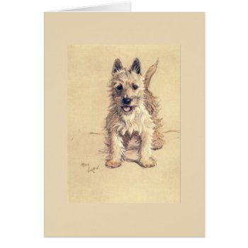 Vintage - West Highland White Terrier  by AsTimeGoesBy at Zazzle