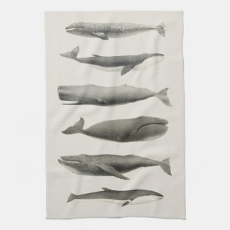 Vintage Whale Art Collage Kitchen Towel