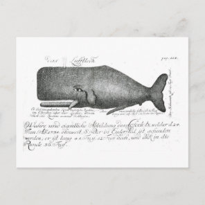 Vintage Whale Design Postcard