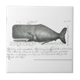 Vintage Whale Design Tile