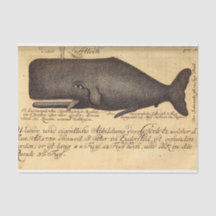 Vintage Whale Script Ephemera Decoupage Nautical