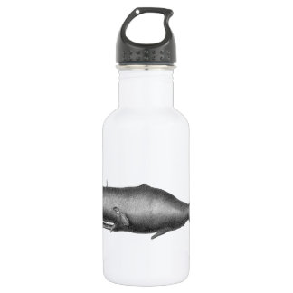 Vintage Whale Stainless Steel Water Bottle