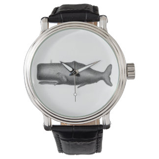 Vintage Whale Watch