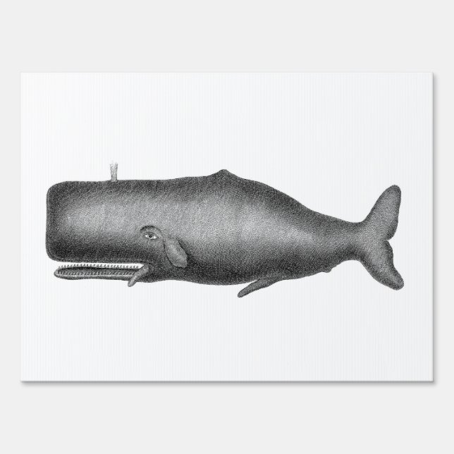 Vintage Whale Yard Sign (Back)