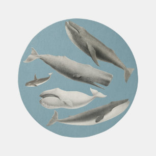 Vintage Whales Rug