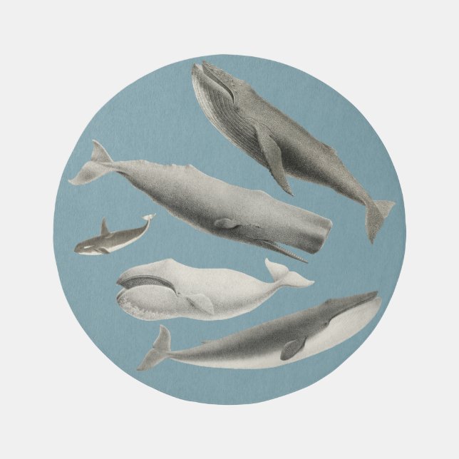 Vintage Whales Rug (Front)