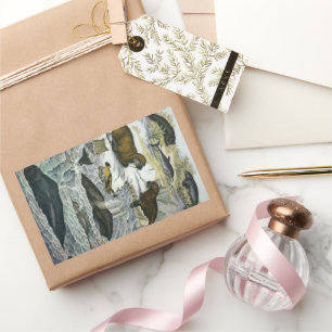 Vintage Whales, Seals and Walruses, Marine Animals