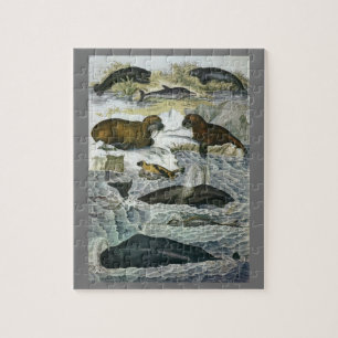 Vintage Whales, Seals and Walruses, Marine Animals Jigsaw Puzzle
