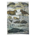 Vintage Whales, Seals and Walruses, Marine Animals Kitchen Towel
