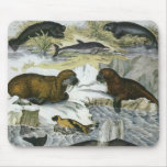 Vintage Whales, Seals and Walruses, Marine Animals Mouse Pad