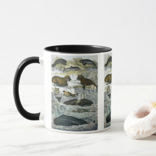 Vintage Whales, Seals and Walruses, Marine Animals Mug