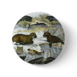 Vintage Whales, Seals and Walruses, Marine Animals Pinback Button