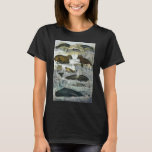 Vintage Whales, Seals and Walruses, Marine Animals T-Shirt