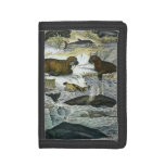 Vintage Whales, Seals and Walruses, Marine Animals Trifold Wallet