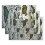 Vintage Whales, Seals and Walruses, Marine Animals Wrapping Paper Sheets