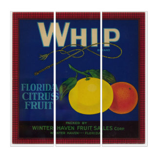 Vintage Whip Citrus Fruit Label Triptych