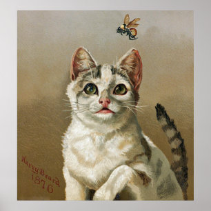 Vintage White Cat With Bee Art Poster