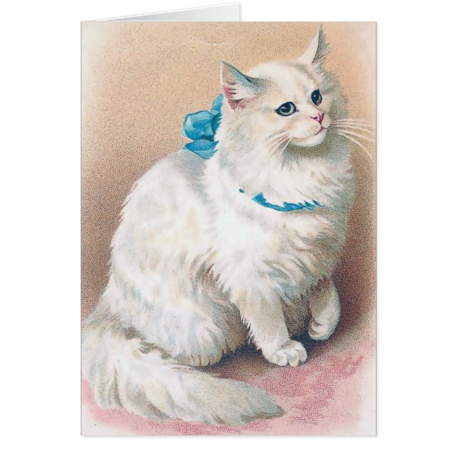 Vintage - White Cat with Blue Bow, (Front)