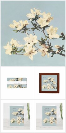 Vintage White Cream Azalea Flowers