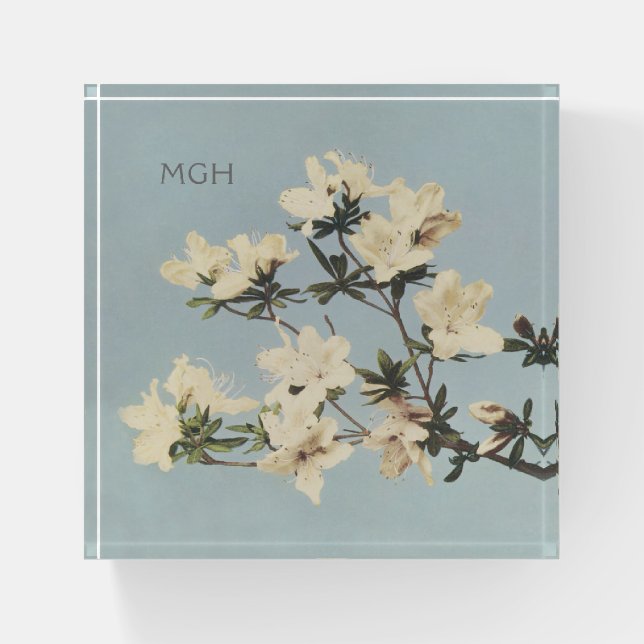 Vintage White Cream Azalea Flowers Monogram Paperweight (Front)