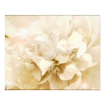 Vintage White Dahlia Flower Floral Photo by terrymcclaryart at Zazzle