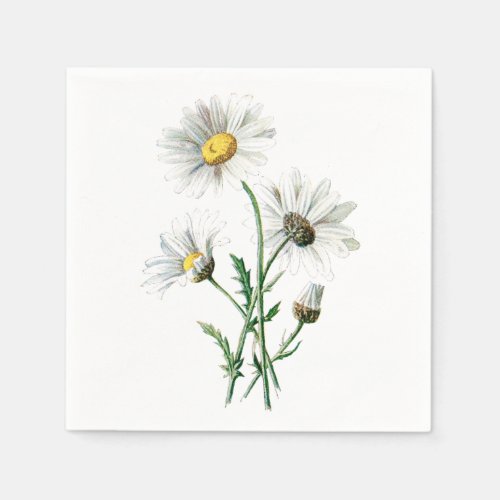Vintage White Daisy Flower Illustration Floral Paper Napkins