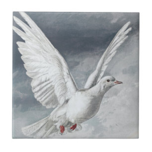 Vintage White Dove Ceramic Tile