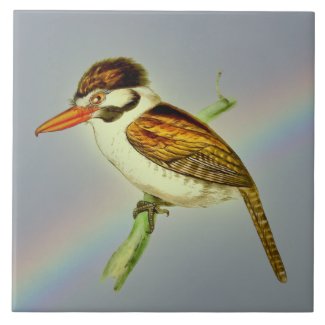 Vintage White-Eared Puff Bird with Rainbow Sky Ceramic Tile