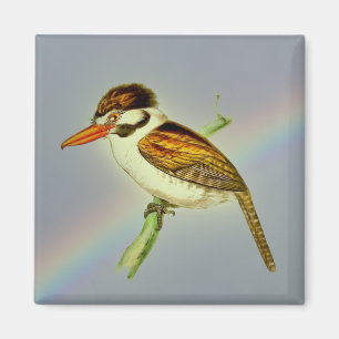 Vintage White-Eared Puff Bird with Rainbow Sky Magnet