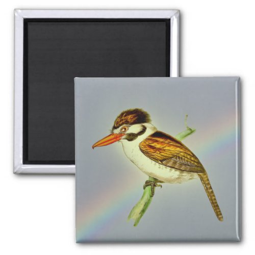 Vintage White_Eared Puff Bird with Rainbow Sky Magnet